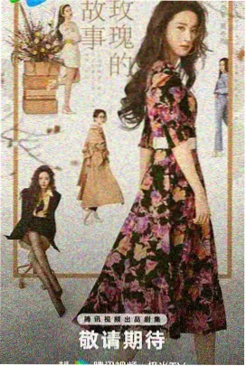 图书馆的女朋友第二季在线追剧